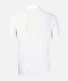 Polo skipper a coste