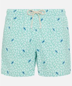 COSTUME BOXER SEAHORSE PATTERN 53